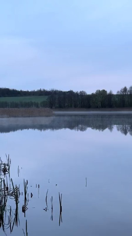 月姫 (@ReiwaLuna06013) on X