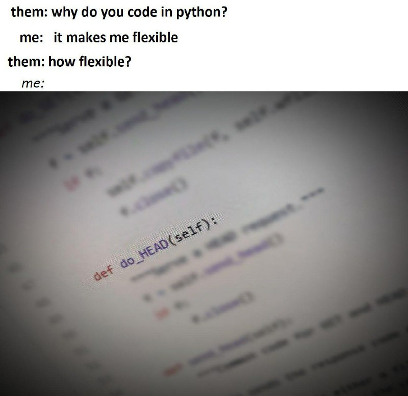 @ProgrammerHumor Head