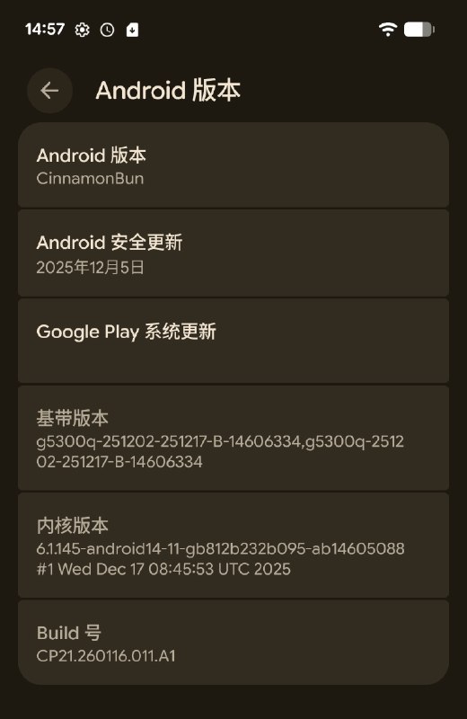 新年就该刷机，pixel不能白买（虽然我不喜欢吃肉桂的东西，哈哈哈哈哈