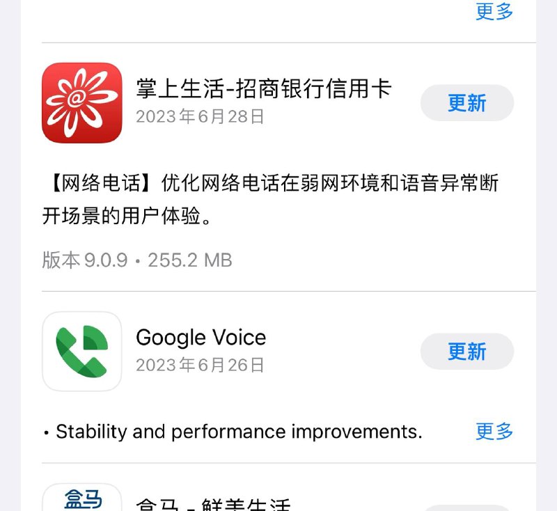 哇 优化弱网！哎等等谁才是Google voice？