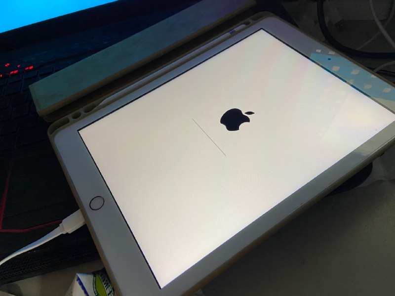 国行勇士他lei了