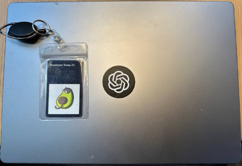 哈哈哈哈哈哈哈哈哈家