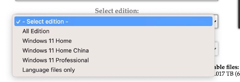 所以为什么 计划单列一个home 拆那