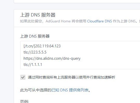 一个优雅的解决你航portal在桥接场景下未登录无法使用DoT的问题的方法23333