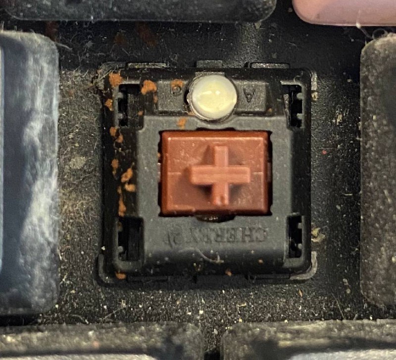 几天没用....键盘长蘑菇了.......